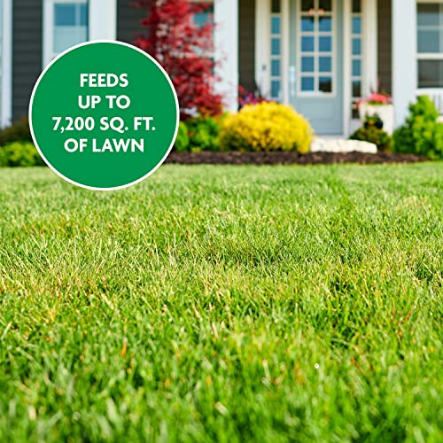 Miracle-Gro Water Soluble Lawn Food - All Grass Types