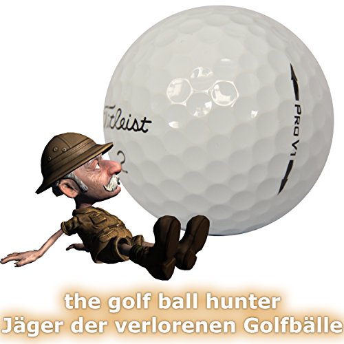 Titleist Pro V1x Golf Balls (2011 Model, One Dozen) from Titleist