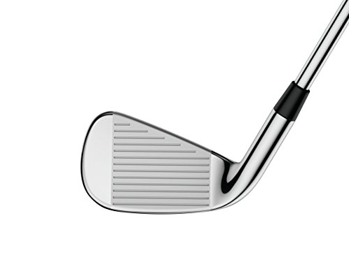 Callaway Golf Men's Apex Pro 16 Golf Irons Set (Set of 8 Total Clubs: 4-PW, AW, Left Hand, Steel, Regular Flex)