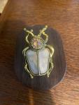 Antique Gold Scarab Beetle Brooch with Crystal
