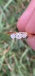 18ct Gold Antique Diamond Trilogy Ring