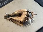 Victorian Rose Gold Brooch Pendant, 19th Century