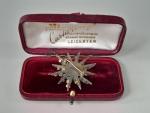 Victorian Sparkling Paste Starburst Brooch Pin