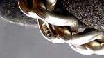 Antique Silver Curb Bracelet with Lion Links 8