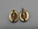Vintage Silver Cameo Earrings with Gold Vermeil