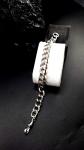 Antique Silver Men's Oval Curb Bracelet with Lion Links