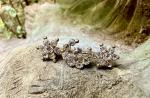 Sparkling Antique Star and Crescent Moon Brooch