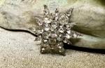 Victorian Starburst Paste Brooch Pin