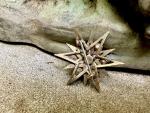 Victorian Starburst Paste Brooch Pin