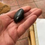 Victorian Whitby Jet Mourning Photo Locket