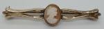 Vintage Victorian Carved Shell Cameo Brooch