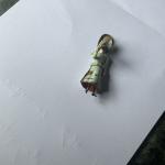 Victorian Enamelled ‘Risqué’ Woman Pendant Charm