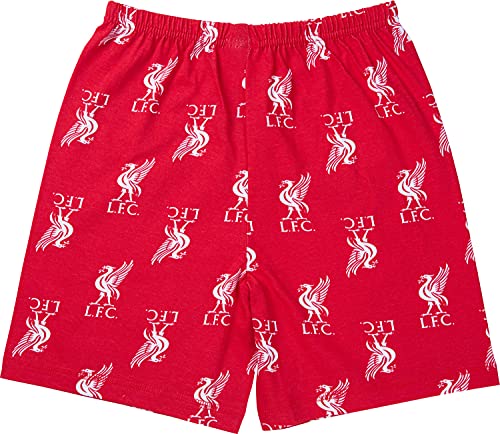 Liverpool F.C. Boys Pyjamas, Cotton LFC Short PJs, Football PJs For Kids And Teenagers (13-14 Years) Red from 