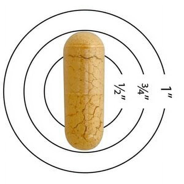 Sundown Milk Thistle 240mg, 120 Capsules Total