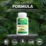 Green Tea Extract 500 mg - 250 Capsules