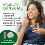 Green Tea Extract 500 mg - 250 Capsules