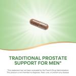 Saw Palmetto Berries 585 mg - 180 Capsules