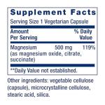 Life Extension Magnesium 500mg Veg Capsules