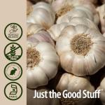 Garlic Extract 1 FL Oz  by Nature's Answer