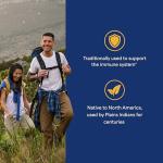 Echinacea 400 mg Immune Support, 200 Capsules