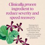 Non-Drowsy Berry Flavored Cold+Flu Chewables