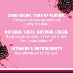 Black Raspberry Sparkling Water - Zero Sugar 12 Pack