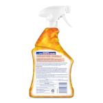 Lysol Multi-Purpose Cleaner Spray, Mango & Hibiscus