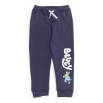 Bluey Toddler Boys Hoodie and Pants Set 3T