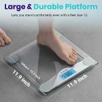 Etekcity High Precision Digital Body Weight Scale