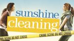 Sunshine Cleaning