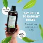 Just Nutritive Gray Hair Shampoo | Gray Hair Treatment | Just Natural Hair Care | Natural Shampoo 16 Oz