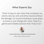 POLAR HAIR CARE Polar Haircare - Hair Dye Shampoo for Gray Hair for Women & Men (Jet Black) Natural Hair Dye Kit - Semi Permanent Hair Dye Shampoo - Vegan Hair Dye USA 6.76 Fl Oz