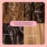 MONDAY HAIRCARE Repair Shampoo and Conditioner Set (12 oz) For Dry to Damaged Hair Made with Keratin, Coconut Oil, Shea Butter, and Vitamin E