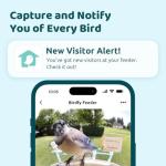 NETVUE by Birdfy Smart Bird Feeder with AI Camera Solar Powered, 2MP Wireless Wildbird Watching, Live Stream & Night Vision, Auto-Capture & Notify, Collection & Cloud Storage (AI by Subscription)