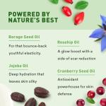 Sunless Tanning Lotion | Anti-Aging Self-Tanner | Body Tanning | Sun Kiss Glow Bronze Finish | Bronzer Lotion For All Skin Types | Just Nutritive | 8 Oz