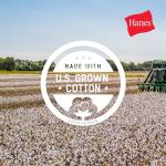 Hanes Women's EcoSmart Light Steel Sweatpants, Small