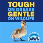 Dawn EZ-Squeeze Ultra Dish Soap Refill 22 oz