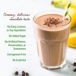 Orgain Vegan Protein Powder - Creamy Chocolate Fudge
