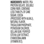 Evolve Double Chocolate Vegan Protein Coffee Powder