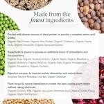Vanilla Plant-Based Protein Coffee Powder - 20 Servings