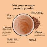 Four Sigmatic Organic Creamy Cacao Protein Powder