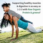 Garden of Life Organic Protein & Greens Vanilla