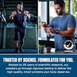 Dymatize Vanilla Whey Protein Coffee Powder, 25g Protein