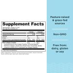 Ancient Nutrition Collagen Protein Powder - Chocolate Flavor