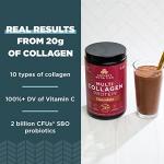 Ancient Nutrition Collagen Protein Powder - Chocolate Flavor