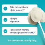 Vital Proteins Collagen Peptides Powder for Beauty