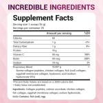 Dr. Berg Unflavored Multi Collagen Protein Powder
