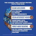 BIRDMAN Falcon Vegan Chocolate Protein Powder