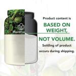 PlantFusion Vegan Protein Powder Sampler - Vanilla 4 Pack
