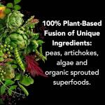 PlantFusion Vegan Protein Powder Sampler - Vanilla 4 Pack